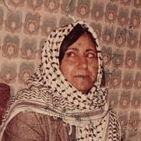 آلبوم اختصاصی تصاویر شهید کوکب دده جانی . کد 1403275511 آ