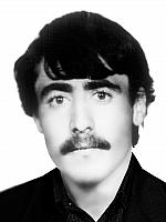 آلبوم اختصاصی تصاویر شهید عبداله دنیادوست . کد 1403257737 آ