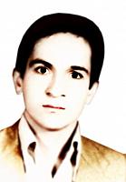 آلبوم اختصاصی تصاویر شهید علی اکبر دره شیری . کد 1403203103 آ