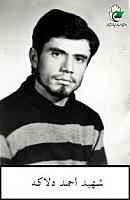 آلبوم اختصاصی تصاویر شهید احمد دلاکه . کد 1403251981 آ