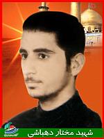 آلبوم اختصاصی تصاویر شهید مختار دهباشی . کد 1403310901 آ