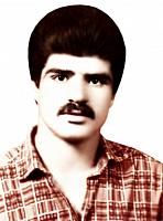 آلبوم اختصاصی تصاویر شهید علی محمد دهقان طزرجانی . کد 1403257845 آ