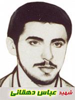 آلبوم اختصاصی تصاویر شهید عباس دهقانی محمدابادی . کد 1403310997 آ