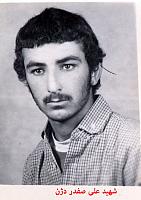 آلبوم اختصاصی تصاویر شهید صفدر دژن . کد 1403203136 آ