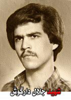 آلبوم اختصاصی تصاویر شهید میرجلال دارگوش . کد 1403322528 آ