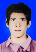 آلبوم اختصاصی تصاویر شهید حمداد داورپناه . کد 1403275448 آ