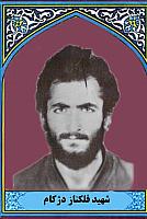 آلبوم اختصاصی تصاویر شهید فلک ناز دژگام . کد 1403310744 آ