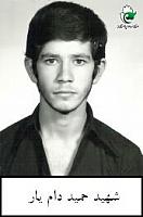 آلبوم اختصاصی تصاویر شهید حمید دام یار . کد 1403202851 آ