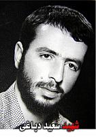 آلبوم اختصاصی تصاویر شهید سعید دباغی . کد 1403202990 آ