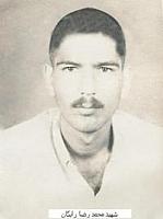 آلبوم اختصاصی تصاویر شهید محمدرضا رایگان . کد 1403311154 آ