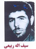 آلبوم اختصاصی تصاویر شهید سیف اله ربیعی . کد 1403203800 آ