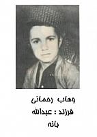 آلبوم اختصاصی تصاویر شهید وهاب رحمانی . کد 1403228839 آ