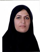 آلبوم اختصاصی تصاویر شهید سیداسماعیل رحیمی . کد 1403244371 آ