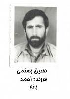 آلبوم اختصاصی تصاویر شهید صدیق رستمی . کد 1403326454 آ