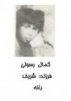 آلبوم اختصاصی تصاویر شهید کمال رسولی . کد 1403292033 آ