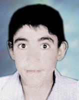 آلبوم اختصاصی تصاویر شهید غلام رضا رسولی گویینی . کد 1403229166 آ