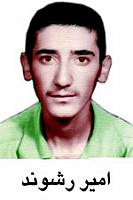 آلبوم اختصاصی تصاویر شهید امیر رشوندسرخکوله . کد 1403244562 آ
