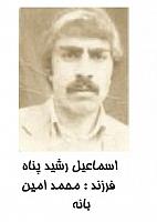 آلبوم اختصاصی تصاویر شهید اسمعیل رشیدپناه . کد 1403245401 آ