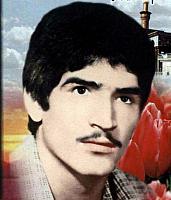 آلبوم اختصاصی تصاویر شهید محسن رشیدزاده . کد 1403204383 آ