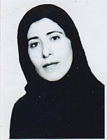 آلبوم اختصاصی تصاویر شهید پروین رشیدی . کد 1403244569 آ