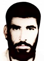 آلبوم اختصاصی تصاویر شهید منصور رعیتی بنادکوکی . کد 1403204805 آ