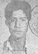 آلبوم اختصاصی تصاویر شهید داود رمضانی قرادیو . کد 1403244833 آ