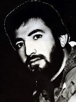 آلبوم اختصاصی تصاویر شهید توحید روحی . کد 1403205151 آ