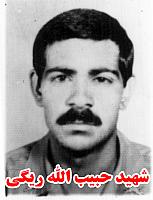 آلبوم اختصاصی تصاویر شهید حبیب اله ریگی . کد 1403312086 آ