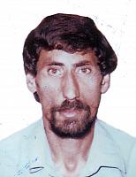 آلبوم اختصاصی تصاویر شهید محمود زره پوش کلفروش . کد 1403279272 آ