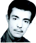 آلبوم اختصاصی تصاویر شهید فریدون زارعی کمره . کد 1403279113 آ