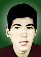 آلبوم اختصاصی تصاویر شهید احمد زراعتی . کد 1403230103 آ