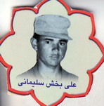 آلبوم اختصاصی تصاویر شهید علی بخش سلیمانی . کد 1403280811 آ