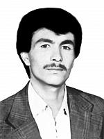 آلبوم اختصاصی تصاویر شهید نظامعلی سلیمانی . کد 1403280858 آ