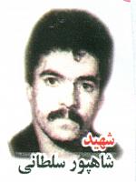 آلبوم اختصاصی تصاویر شهید شاهپور سلطانی لرگانی . کد 1403230838 آ