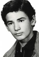 آلبوم اختصاصی تصاویر شهید حسن ستایش . کد 1403280072 آ