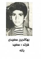 آلبوم اختصاصی تصاویر شهید بهاالدین سعیدی . کد 1403245554 آ