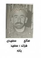 آلبوم اختصاصی تصاویر شهید صالح سعیدی . کد 1403245559 آ