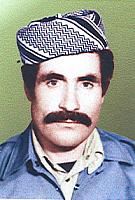 آلبوم اختصاصی تصاویر شهید سیف اله سرپرست . کد 1403259564 آ