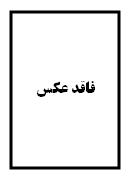 آلبوم اختصاصی تصاویر شهید محمد سهرابی نیابهمنی . کد 1403281129 آ