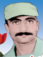 آلبوم اختصاصی تصاویر شهید رضا سعادت ساده بارانی . کد 1403245525 آ