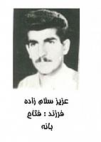 آلبوم اختصاصی تصاویر شهید عزیز سلام زاده . کد 1403329241 آ