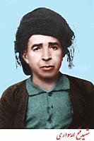 آلبوم اختصاصی تصاویر شهید فتح اله سواری . کد 1403132553 آ