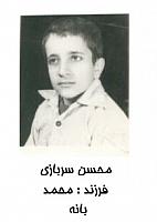 آلبوم اختصاصی تصاویر شهید محسن سربازی . کد 1403245478 آ