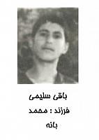 آلبوم اختصاصی تصاویر شهید باقی سلیمی . کد 1403327233 آ