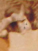 آلبوم اختصاصی تصاویر شهید عبدالطیف شریعت پناه . کد 1403251971 آ