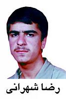 آلبوم اختصاصی تصاویر شهید رضا شهرانی . کد 1403291816 آ