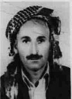 آلبوم اختصاصی تصاویر شهید ابراهیم شبیخون . کد 1403260046 آ