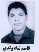 آلبوم اختصاصی تصاویر شهید قاسم شاه ولدی . کد 1403260000 آ