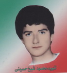 آلبوم اختصاصی تصاویر شهید محمود شیخ حسینی بغداداباد . کد 1403208217 آ