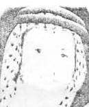 آلبوم اختصاصی تصاویر شهید ماجد شکیب . کد 1403122667 آ